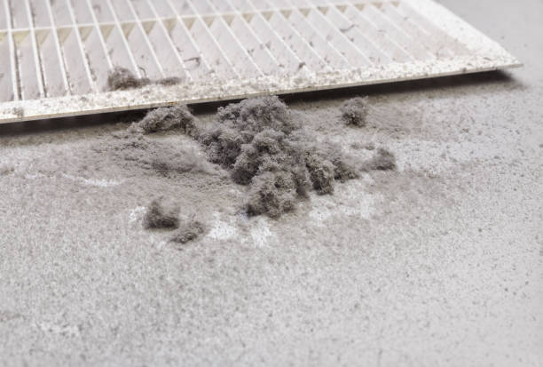 Best Ventilation Cleaning Services  in West End Cobb Town, AL