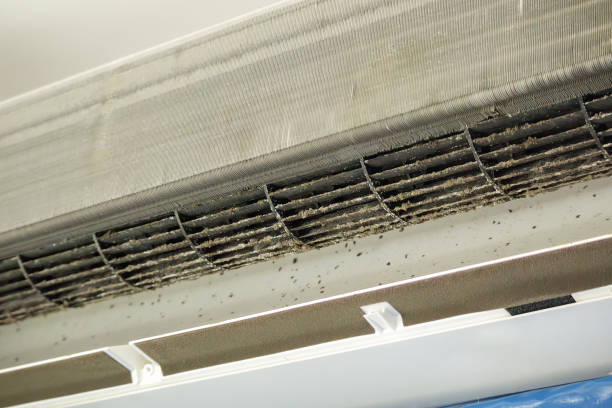 Best Duct Cleaning for Homes  in West End Cobb Town, AL